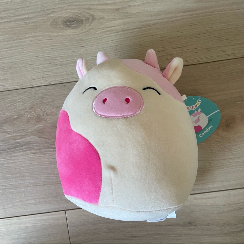 Cayden squishmallow